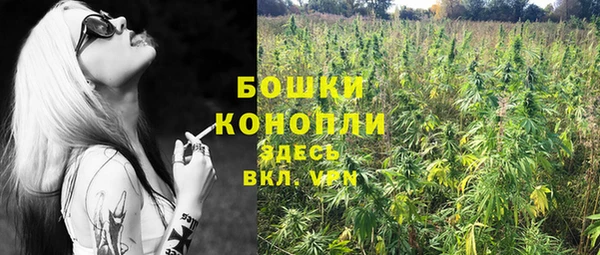ПСИЛОЦИБИНОВЫЕ ГРИБЫ Беломорск