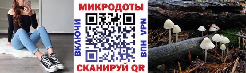 наркошоп  Буйнакск  Галлюциногенные грибы Cubensis 